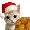 Sticker 🐱 christmas ➜ @emoji1