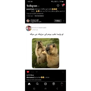 Sticker 🍁 🍁 @digianti11bot