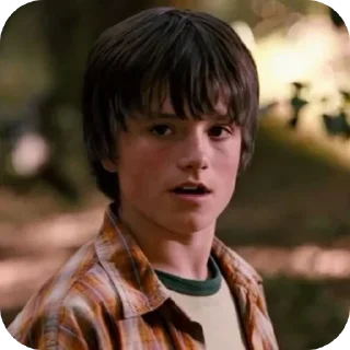 Телеграм стикер 😦 Jesse Aarons | bridgetoterabithia