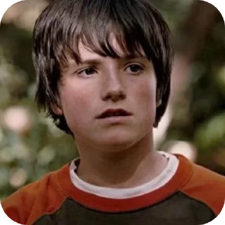 Video sticker 😲 Jesse Aarons | bridgetoterabithia
