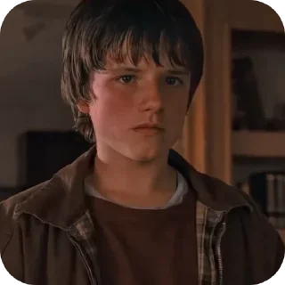 Sticker 🙁 Jesse Aarons | bridgetoterabithia