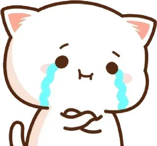 Telegram sticker 😭 𝙉𝙀𝙁𝙀𝙇𝙄𝘽𝘼𝙏𝘼™|| 𝙎𝙃𝙍𝙀𝙀 ✨s kang pack