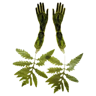 Telegram sticker 🙌 viriditas_by_@plantphilosophy