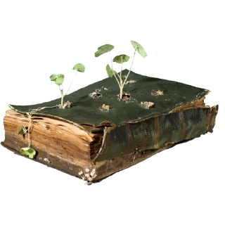 Sticker 📜 viriditas_by_@plantphilosophy