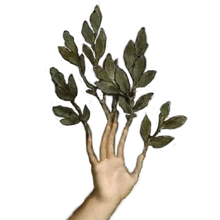 Telegram sticker ✌ viriditas_by_@plantphilosophy