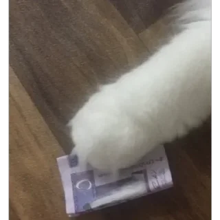 Телеграм стикер ✨ ɭυทΔ