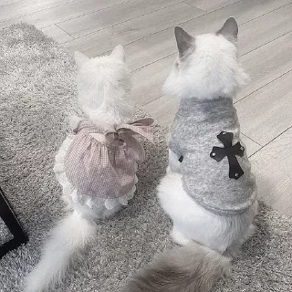 Video sticker 💗 ㅤㅤ°• @bbb1bb - @ddddnd •°