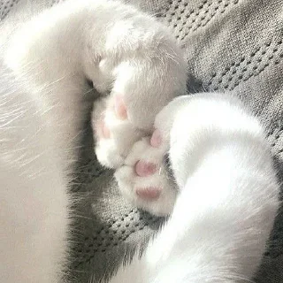 Telegram sticker 💘 ㅤㅤ°• @bbb1bb - @ddddnd •°