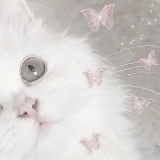 Video sticker 🥺 ㅤㅤ°• @bbb1bb - @ddddnd •°