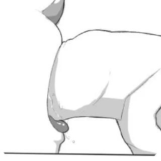 Telegram stiker 👍 Cub nsfw