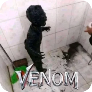 Video sticker 🐶 Больше стиков тут: @stikery4