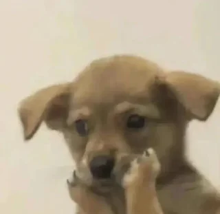 Sticker 😔 @Yikeai 辣味小狗