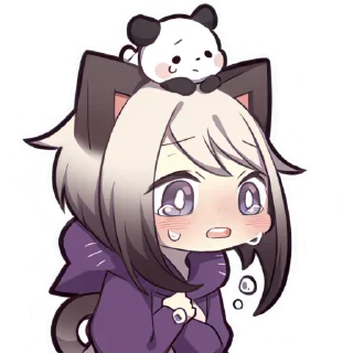 Video sticker 😭 Сиамская кошечка 3 @Nyasticks
