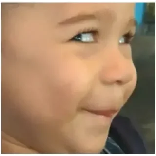 Video sticker 😜 Wall’s pack :: @fStikBot