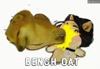 Video sticker 🌸 Wall’s pack :: @fStikBot