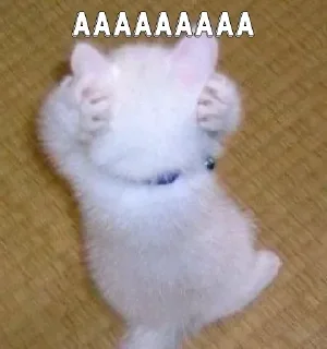 Telegram sticker 🌸 Wall’s pack :: @fStikBot