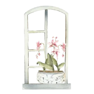 Video sticker 🪟 @Madre_Tierra_5D ventanas