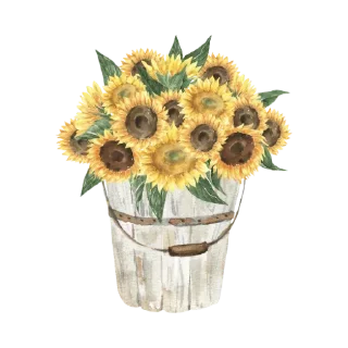 Telegram sticker 🌻 @Madre_Tierra_5D ventanas