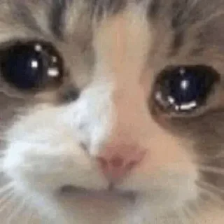 Sticker 🥺 @No0bmaster069's Pack 1