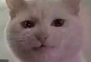 Video sticker 😭 @No0bmaster069's Pack 1