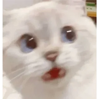 Telegram stiker 😂 @No0bmaster069's Pack 1