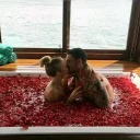 Telegram sticker 👄 Kisses @stickersb2b