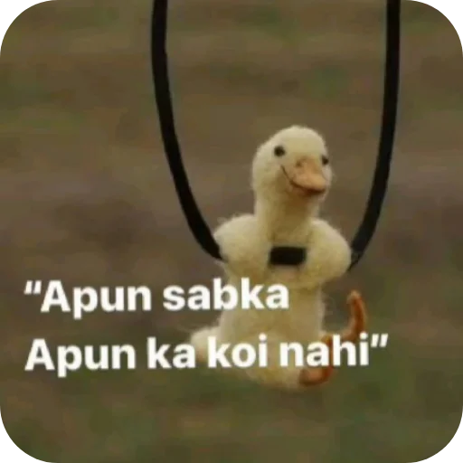 Telegram sticker 🐦 @amansinghcreator