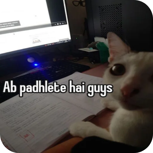 Telegram sticker 🐱 @amansinghcreator