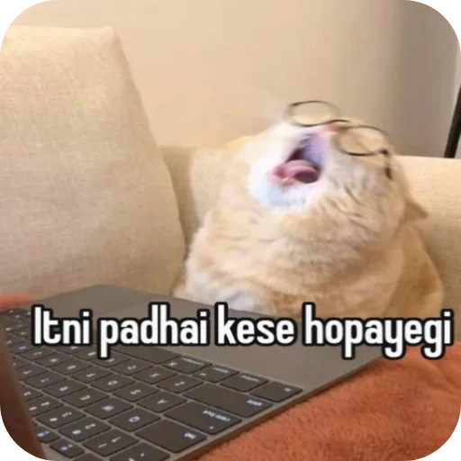 Telegram sticker 🤲 @amansinghcreator