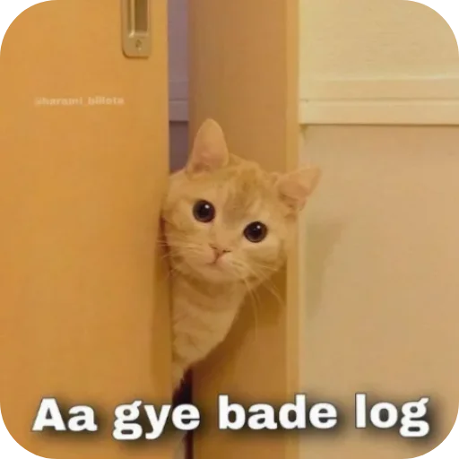 Telegram sticker 🐱 @amansinghcreator