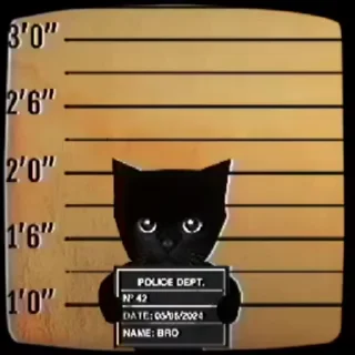 Video sticker 🌟 De jaki pal mundo 2.0:: @fStikBot