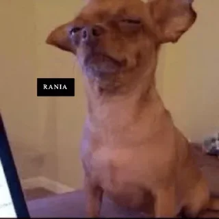 Video sticker 🤔 @xMloook