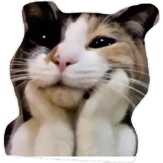 Telegram stiker 😍 Donny Snarko