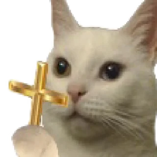 Telegram stiker 🙅‍♀ Donny Snarko