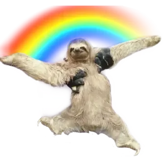 Video sticker 🌈 Donny Snarko