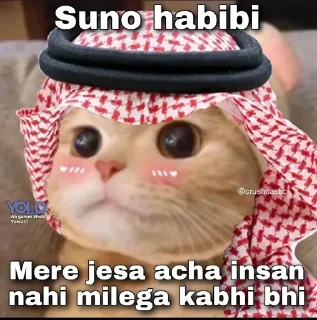 Video sticker 😊 Unknown(prince)🖤 :: @fStikBot