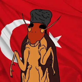 Telegram sticker 🇹🇷 Turkey🪳🪳🪳🪳🪳