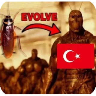 Video sticker 🪳 Turkey🪳🪳🪳🪳🪳