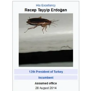 Telegram sticker 👍 Turkey🪳🪳🪳🪳🪳