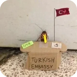 Telegram sticker 👍 Turkey🪳🪳🪳🪳🪳