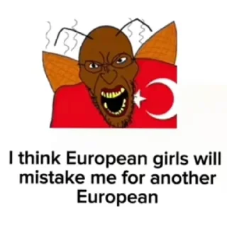 Video sticker 👍 Turkey🪳🪳🪳🪳🪳