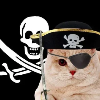 Telegram sticker 🏴‍☠️ @arca8e Vol.1