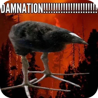 Telegram sticker 🖼 DAMN!!!!!!!!