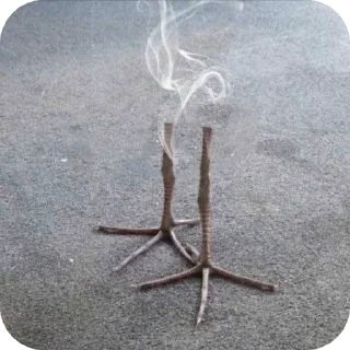 Telegram sticker 🐞 DAMN!!!!!!!!