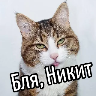 Telegram sticker 😕 Ну бля ... @GIFSTIKI ⬅ 🔞