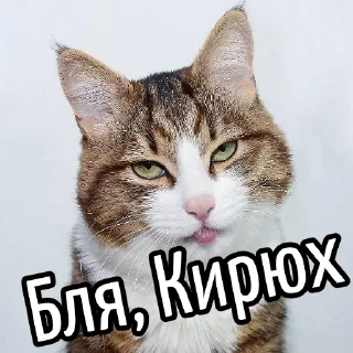 Telegram sticker 😕 Ну бля ... @GIFSTIKI ⬅ 🔞