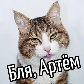 Telegram sticker 😕 Ну бля ... @GIFSTIKI ⬅ 🔞