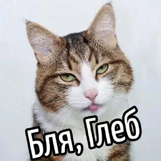 Sticker 😕 Ну бля ... @GIFSTIKI ⬅ 🔞
