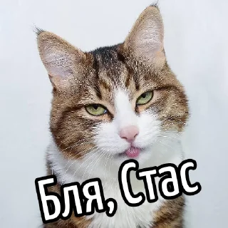 Video sticker 😕 Ну бля ... @GIFSTIKI ⬅ 🔞