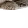 Sticker 😏 : ̗̀➛🐈Ｋｉｔｔｅｎｓ @Terrible1Jack @TgEmodziBot